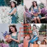 ใบเตย รูปที่ 2