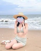 Pims รูปที่ 1